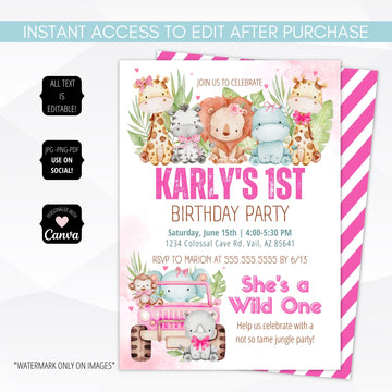 wild one first birthday